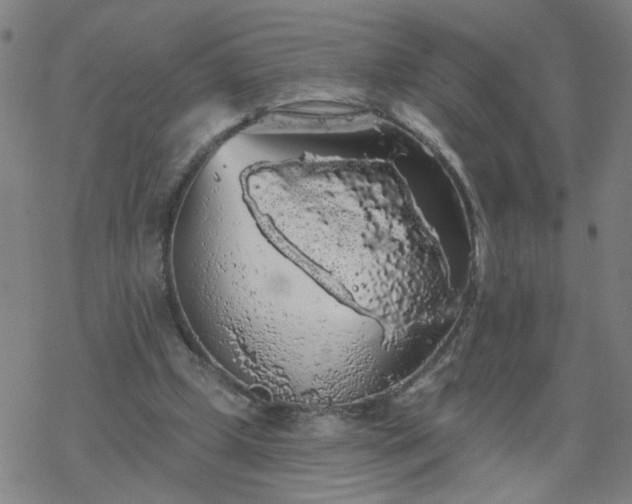 X0000069360249200605192105