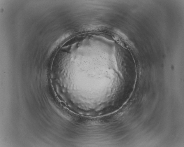 X0000069360250200605192105