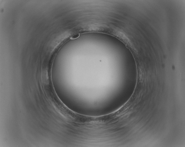 X0000069360251200605192105