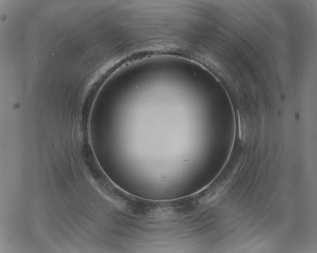 X0000069360252200605192105