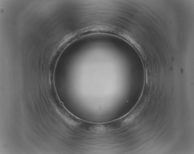 X0000069360253200605192105