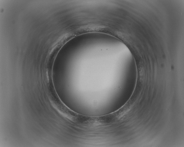 X0000069360254200605192105