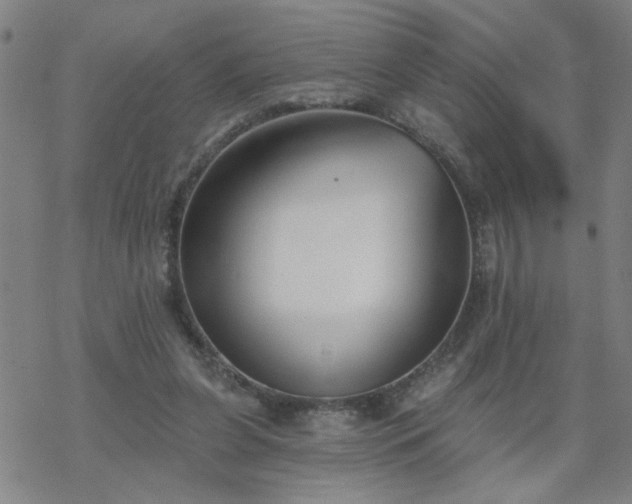 X0000069360255200605192105