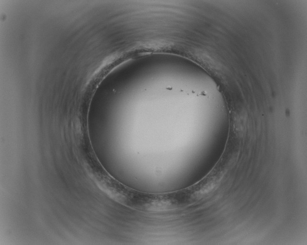 X0000069360256200605192105