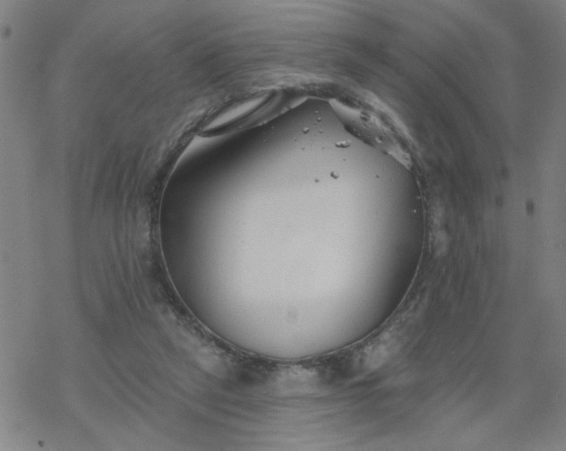 X0000069360257200605192105