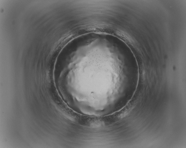 X0000069360258200605192105