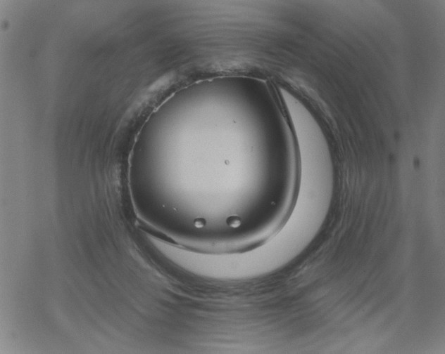 X0000069360260200605192105