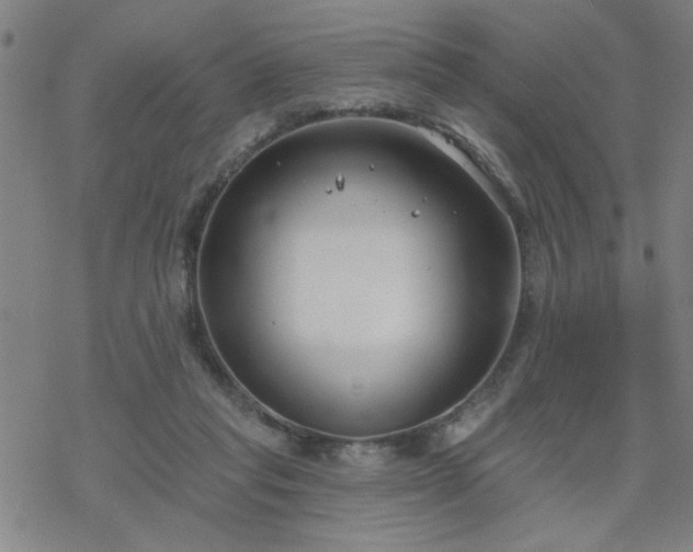 X0000069360261200605192105