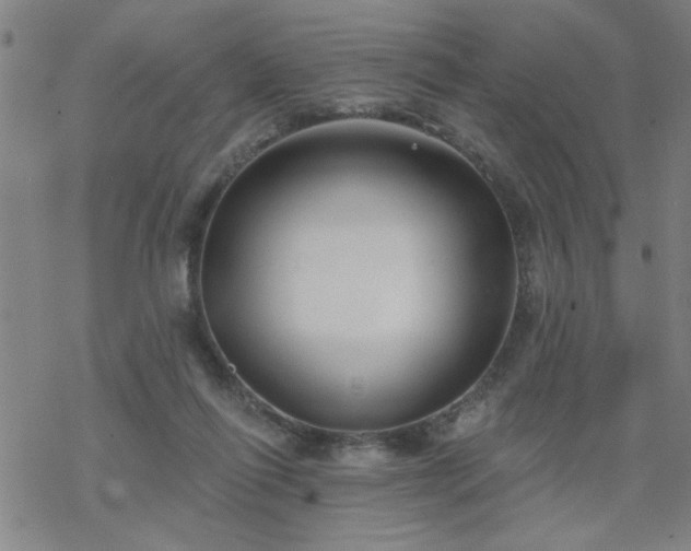 X0000069360262200605192105