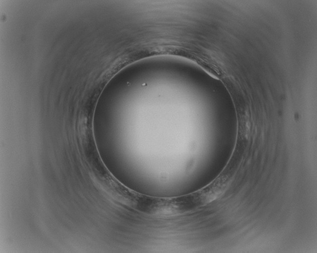 X0000069360263200605192105