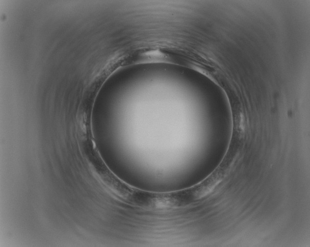 X0000069360264200605192105