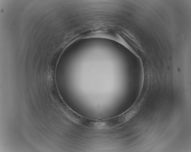 X0000069360265200605192105