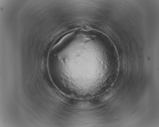 X0000069360266200605192105