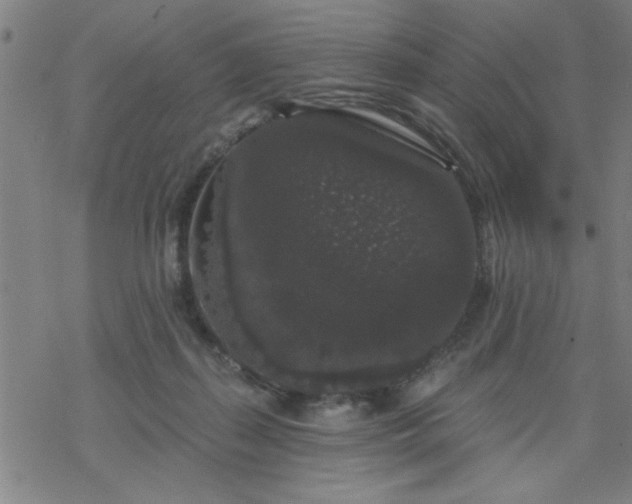 X0000069360267200605192105