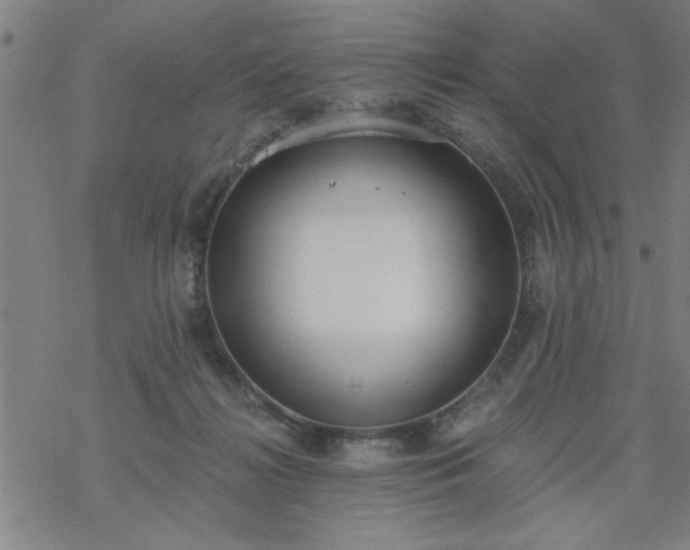 X0000069360268200605192105