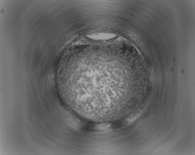 X0000069360269200605192105