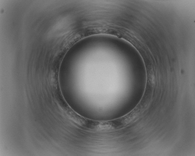 X0000069360270200605192105