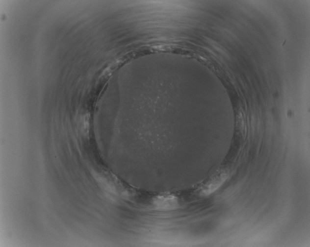 X0000069360271200605192105