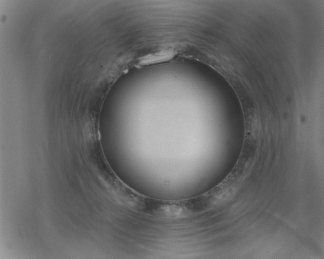 X0000069360272200605192106