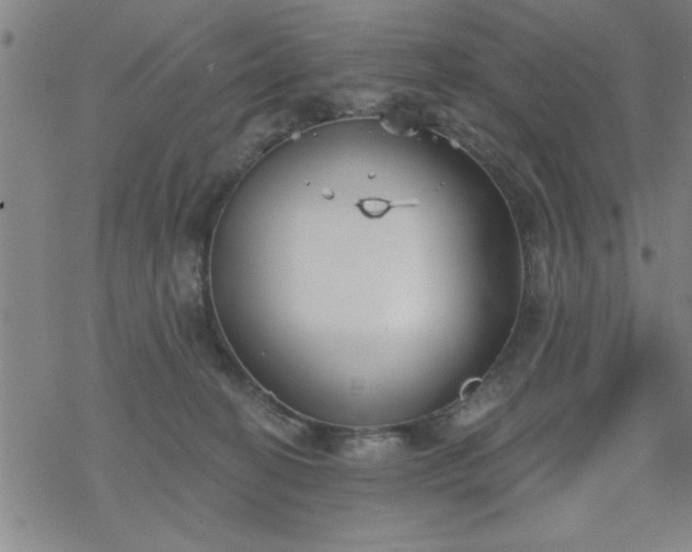 X0000069360274200605192106