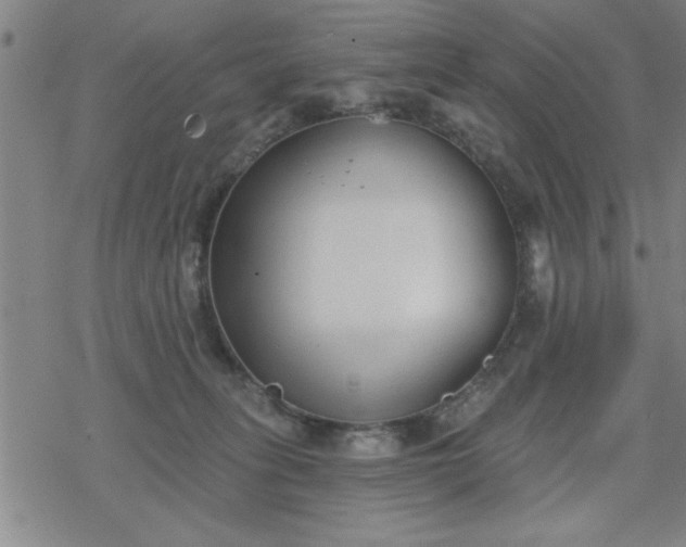 X0000069360275200605192106