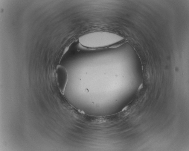 X0000069360276200605192106