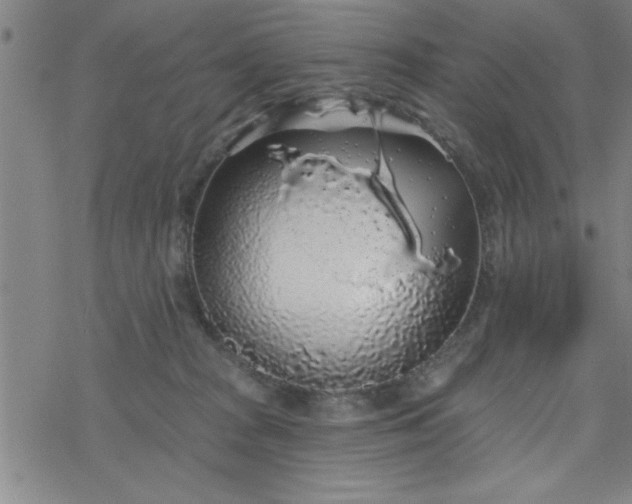 X0000069360277200605192106