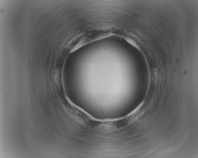 X0000069360280200605192106