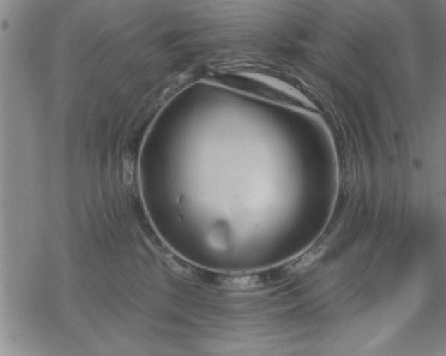 X0000069360281200605192106