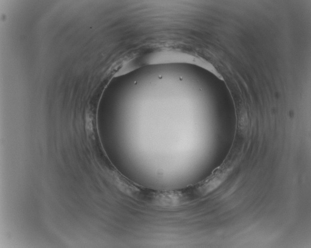 X0000069360282200605192106