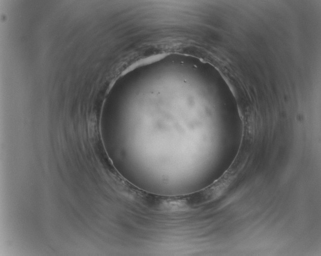 X0000069360283200605192106