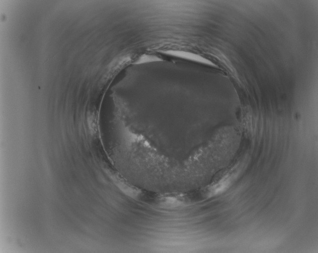 X0000069360285200605192106