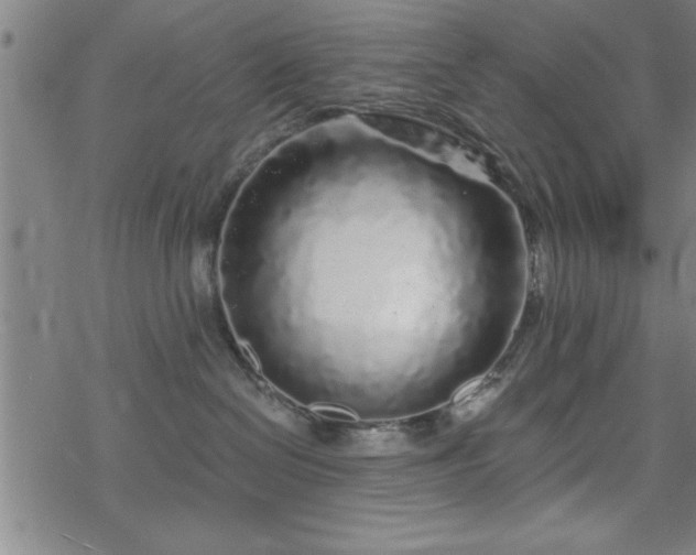 X0000069360286200605192106