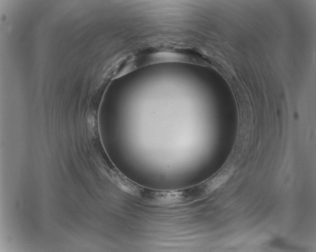 X0000069360288200605192106