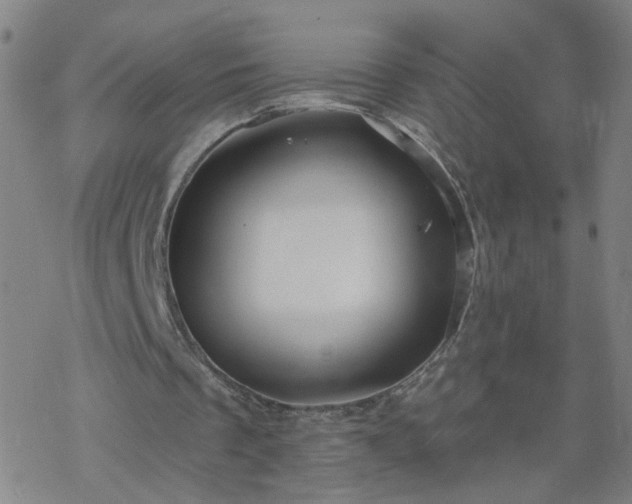 X0000069360289200605192105