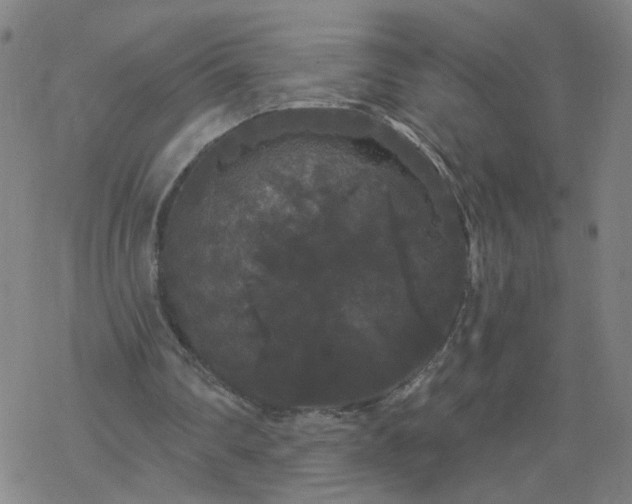 X0000069360290200605192105