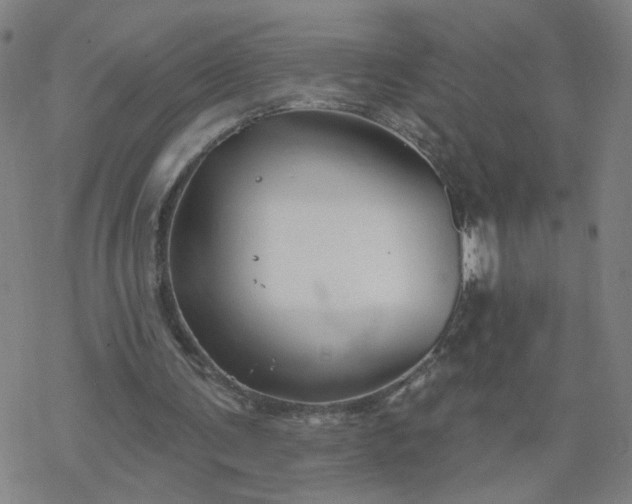 X0000069360291200605192105