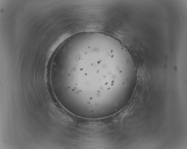 X0000069360292200605192105