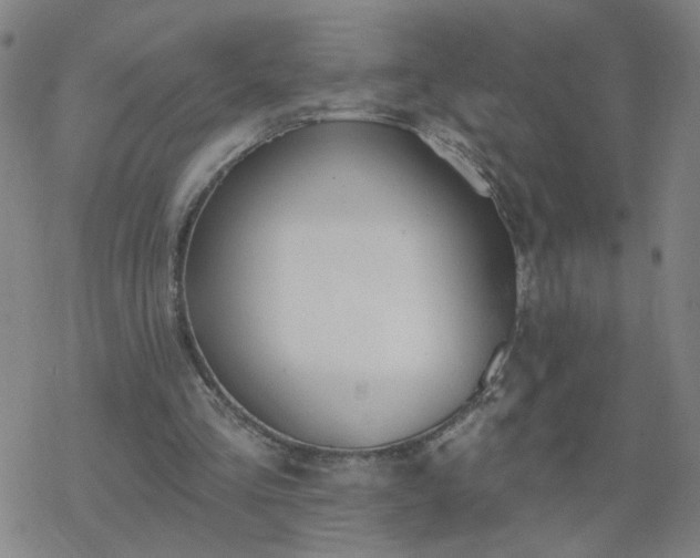 X0000069360293200605192105