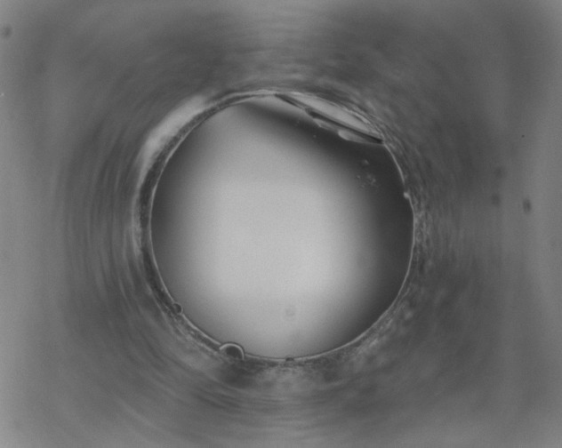 X0000069360294200605192105