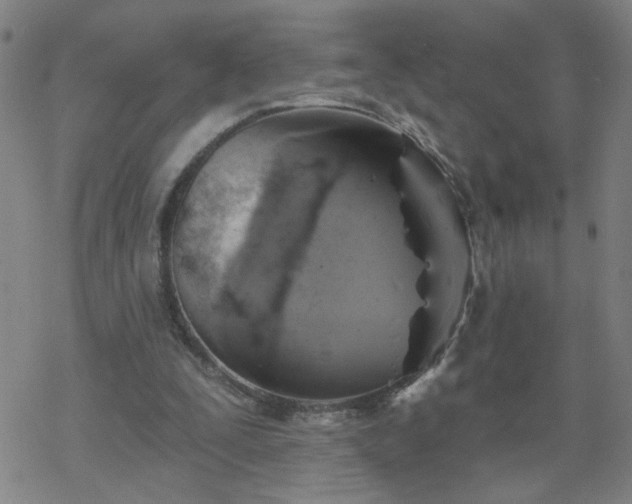 X0000069360295200605192105