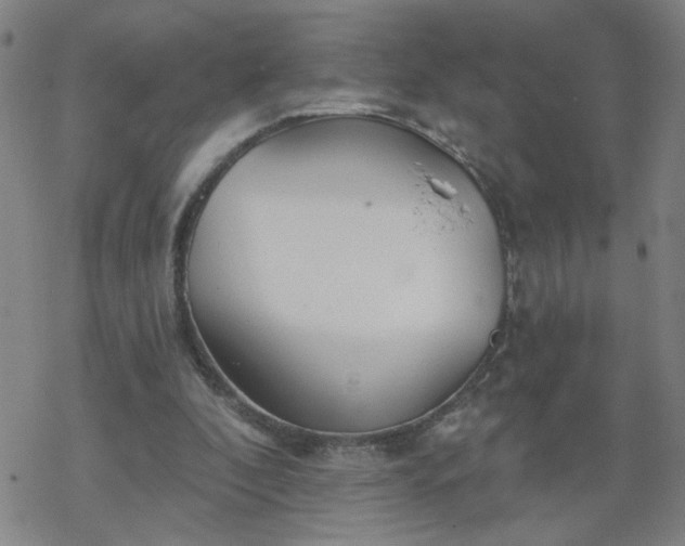 X0000069360296200605192105