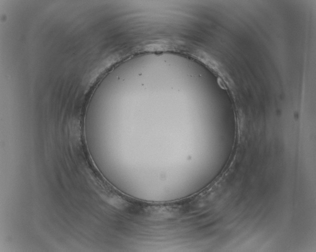 X0000069360297200605192105