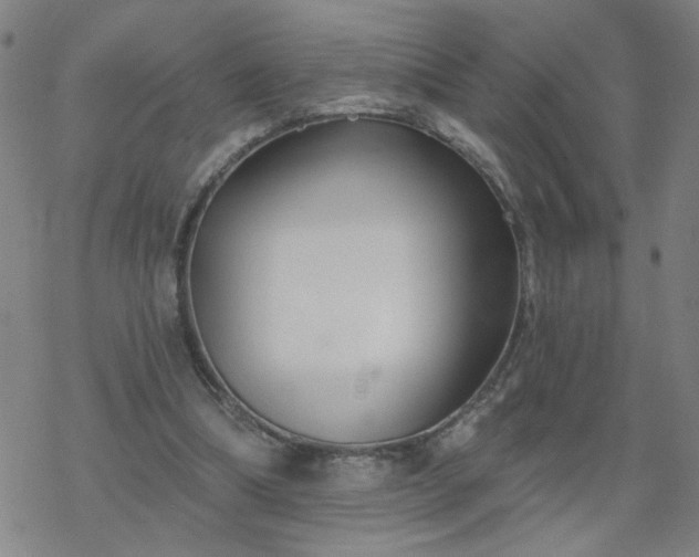 X0000069360298200605192105