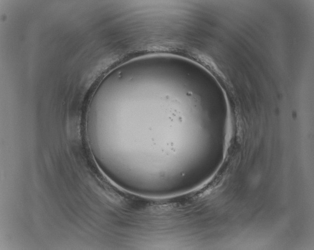 X0000069360299200605192105