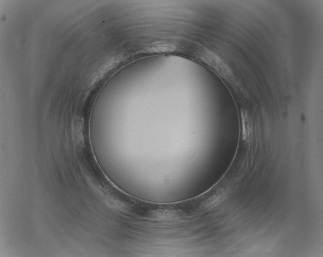 X0000069360300200605192105