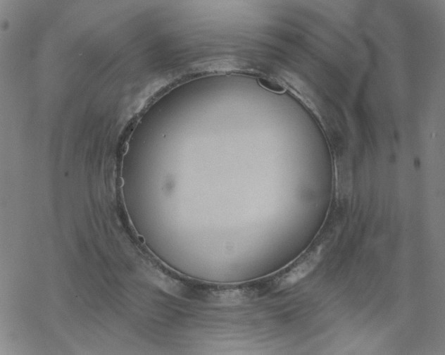 X0000069360301200605192105