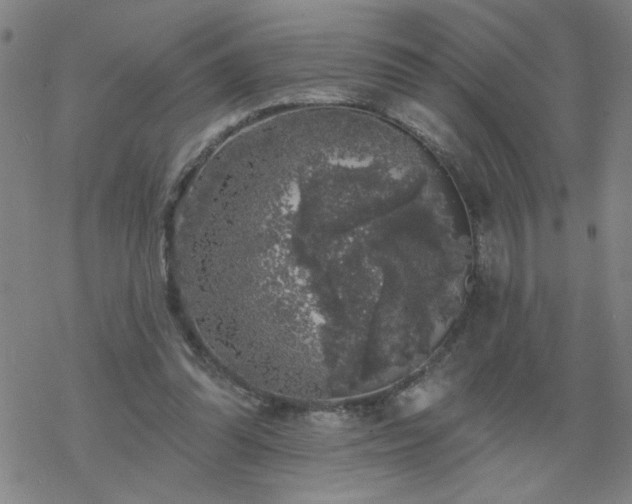 X0000069360302200605192105