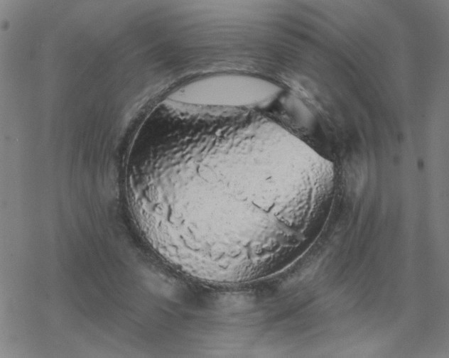 X0000069360303200605192105