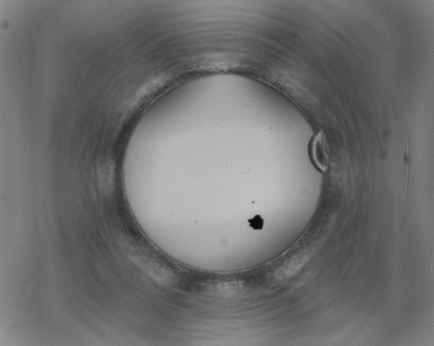 X0000069360304200605192105